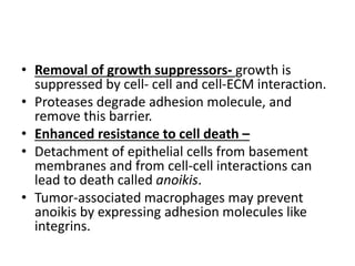 • Removal of growth suppressors- growth is
suppressed by cell- cell and cell-ECM interaction.
• Proteases degrade adhesion molecule, and
remove this barrier.
• Enhanced resistance to cell death –
• Detachment of epithelial cells from basement
membranes and from cell-cell interactions can
lead to death called anoikis.
• Tumor-associated macrophages may prevent
anoikis by expressing adhesion molecules like
integrins.
 