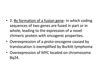 • 2. By formation of a fusion gene- in which coding
sequences of two genes are fused in part or in
whole, leading to the expression of a novel
chimeric protein with oncogenic properties.
• Overexpression of a proto-oncogene caused by
translocation is exemplified by Burkitt lymphoma
• Overexpression of MYC located on chromosome
8q24.
 