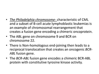 • The Philadelphia chromosome- characteristic of CML
and a subset of B-cell acute lymphoblastic leukemias is
an example of chromosomal rearrangement that
creates a fusion gene encoding a chimeric oncoprotein.
• The ABL gene on chromosome 9 and BCR on
chromosome 22.
• There is Non-homologous end-joining then leads to a
reciprocal translocation that creates an oncogenic BCR-
ABL fusion gene.
• The BCR-ABL fusion gene encodes a chimeric BCR-ABL
protein with constitutive tyrosine kinase activity.
 