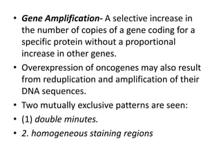 • Gene Amplification- A selective increase in
the number of copies of a gene coding for a
specific protein without a proportional
increase in other genes.
• Overexpression of oncogenes may also result
from reduplication and amplification of their
DNA sequences.
• Two mutually exclusive patterns are seen:
• (1) double minutes.
• 2. homogeneous staining regions
 
