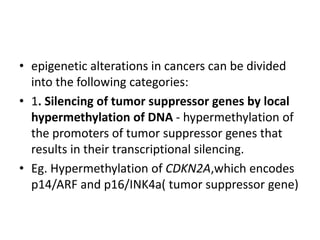 • epigenetic alterations in cancers can be divided
into the following categories:
• 1. Silencing of tumor suppressor genes by local
hypermethylation of DNA - hypermethylation of
the promoters of tumor suppressor genes that
results in their transcriptional silencing.
• Eg. Hypermethylation of CDKN2A,which encodes
p14/ARF and p16/INK4a( tumor suppressor gene)
 