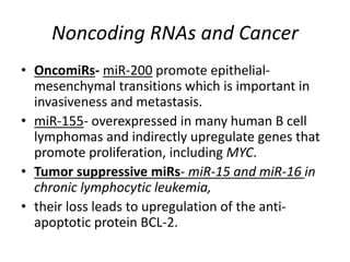 Noncoding RNAs and Cancer
• OncomiRs- miR-200 promote epithelial-
mesenchymal transitions which is important in
invasiveness and metastasis.
• miR-155- overexpressed in many human B cell
lymphomas and indirectly upregulate genes that
promote proliferation, including MYC.
• Tumor suppressive miRs- miR-15 and miR-16 in
chronic lymphocytic leukemia,
• their loss leads to upregulation of the anti-
apoptotic protein BCL-2.
 