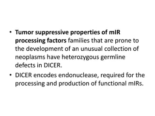 • Tumor suppressive properties of mIR
processing factors families that are prone to
the development of an unusual collection of
neoplasms have heterozygous germline
defects in DICER.
• DICER encodes endonuclease, required for the
processing and production of functional mIRs.
 