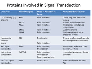 Proteins Involved in Signal Transduction
CATEGORY Proto-Oncogene Mode of Activation in
Tumor
Associated Human Tumor
GTP-binding (G)
proteins
KRAS
HRAS
NRAS
GNAQ
GNAS
Point mutation
Point mutation
Point mutation
Point mutation
Point mutation
Colon, lung, and pancreatic
tumors
Bladder and kidney tumors
Melanomas, hematologic
malignancies
Uveal melanoma
Pituitary adenoma, other
endocrine tumors
Nonreceptor
tyrosine
kinase
ABL Translocation
Point mutation
Chronic myelogenous leukemia
Acute lymphoblastic leukemia
RAS signal
transduction
BRAF Point mutation,
Translocation
Melanomas, leukemias, colon
carcinoma, others
Notch signal
transduction
NOTCH1 Point mutation,
Translocation
Gene rearrangement
Leukemias, lymphomas, breast
carcinoma
JAK/STAT signal
transduction
JAK2 Translocation Myeloproliferative disorders
ALL
 
