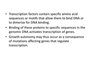 • Transcription factors contain specific amino acid
sequences or motifs that allow them to bind DNA or
to dimerize for DNA binding.
• Binding of these proteins to specific sequences in the
genomic DNA activates transcription of genes.
• Growth autonomy may thus occur as a consequence
of mutations affecting genes that regulate
transcription.
 