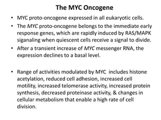 The MYC Oncogene
• MYC proto-oncogene expressed in all eukaryotic cells.
• The MYC proto-oncogene belongs to the immediate early
response genes, which are rapidly induced by RAS/MAPK
siganaling when quiescent cells receive a signal to divide.
• After a transient increase of MYC messenger RNA, the
expression declines to a basal level.
• Range of activities modulated by MYC includes histone
acetylation, reduced cell adhesion, increased cell
motility, increased telomerase activity, increased protein
synthesis, decreased proteinase activity, & changes in
cellular metabolism that enable a high rate of cell
division.
 