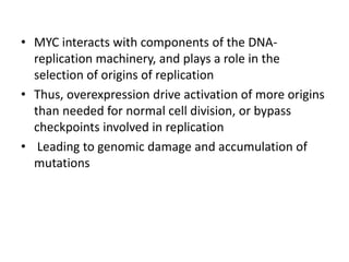 • MYC interacts with components of the DNA-
replication machinery, and plays a role in the
selection of origins of replication
• Thus, overexpression drive activation of more origins
than needed for normal cell division, or bypass
checkpoints involved in replication
• Leading to genomic damage and accumulation of
mutations
 