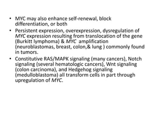 • MYC may also enhance self-renewal, block
differentiation, or both
• Persistent expression, overexpression, dysregulation of
MYC expression resulting from translocation of the gene
(Burkitt lymphoma) & MYC amplification
(neuroblastomas, breast, colon,& lung ) commonly found
in tumors.
• Constitutive RAS/MAPK signaling (many cancers), Notch
signaling (several hematologic cancers), Wnt signaling
(colon carcinoma), and Hedgehog signaling
(medulloblastoma) all transform cells in part through
upregulation of MYC.
 
