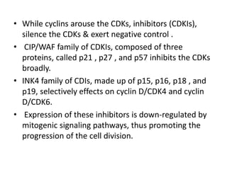 • While cyclins arouse the CDKs, inhibitors (CDKIs),
silence the CDKs & exert negative control .
• CIP/WAF family of CDKIs, composed of three
proteins, called p21 , p27 , and p57 inhibits the CDKs
broadly.
• INK4 family of CDIs, made up of p15, p16, p18 , and
p19, selectively effects on cyclin D/CDK4 and cyclin
D/CDK6.
• Expression of these inhibitors is down-regulated by
mitogenic signaling pathways, thus promoting the
progression of the cell division.
 