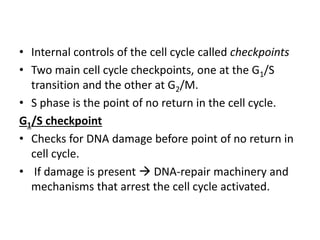 • Internal controls of the cell cycle called checkpoints
• Two main cell cycle checkpoints, one at the G1/S
transition and the other at G2/M.
• S phase is the point of no return in the cell cycle.
G1/S checkpoint
• Checks for DNA damage before point of no return in
cell cycle.
• If damage is present  DNA-repair machinery and
mechanisms that arrest the cell cycle activated.
 