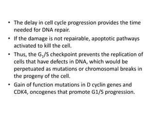 • The delay in cell cycle progression provides the time
needed for DNA repair.
• If the damage is not repairable, apoptotic pathways
activated to kill the cell.
• Thus, the G1/S checkpoint prevents the replication of
cells that have defects in DNA, which would be
perpetuated as mutations or chromosomal breaks in
the progeny of the cell.
• Gain of function mutations in D cyclin genes and
CDK4, oncogenes that promote G1/S progression.
 