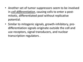 • Another set of tumor suppressors seem to be involved
in cell differentiation, causing cells to enter a post-
mitotic, differentiated pool without replicative
potential.
• Similar to mitogenic signals, growth-inhibitory, pro-
differentiation signals originate outside the cell and
use receptors, signal transducers, and nuclear
transcription regulators .
 