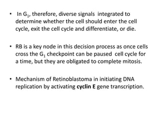 • In G1, therefore, diverse signals integrated to
determine whether the cell should enter the cell
cycle, exit the cell cycle and differentiate, or die.
• RB is a key node in this decision process as once cells
cross the G1 checkpoint can be paused cell cycle for
a time, but they are obligated to complete mitosis.
• Mechanism of Retinoblastoma in initiating DNA
replication by activating cyclin E gene transcription.
 