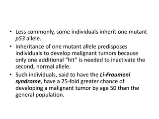 • Less commonly, some individuals inherit one mutant
p53 allele.
• Inheritance of one mutant allele predisposes
individuals to develop malignant tumors because
only one additional “hit” is needed to inactivate the
second, normal allele.
• Such individuals, said to have the Li-Fraumeni
syndrome, have a 25-fold greater chance of
developing a malignant tumor by age 50 than the
general population.
 