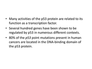 • Many activities of the p53 protein are related to its
function as a transcription factor.
• Several hundred genes have been shown to be
regulated by p53 in numerous different contexts.
• 80% of the p53 point mutations present in human
cancers are located in the DNA-binding domain of
the p53 protein.
 