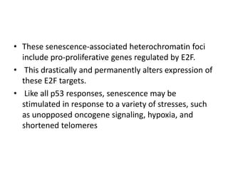 • These senescence-associated heterochromatin foci
include pro-proliferative genes regulated by E2F.
• This drastically and permanently alters expression of
these E2F targets.
• Like all p53 responses, senescence may be
stimulated in response to a variety of stresses, such
as unopposed oncogene signaling, hypoxia, and
shortened telomeres
 