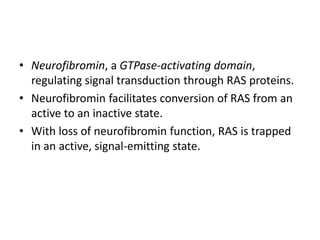 • Neurofibromin, a GTPase-activating domain,
regulating signal transduction through RAS proteins.
• Neurofibromin facilitates conversion of RAS from an
active to an inactive state.
• With loss of neurofibromin function, RAS is trapped
in an active, signal-emitting state.
 