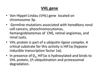 VHL gene
• Von Hippel-Lindau (VHL) gene located on
chromosome 3p.
• Germline mutations associated with hereditary renal
cell cancers, pheochromocytomas,
hemangioblastomas of CNS, retinal angiomas, and
renal cysts.
• VHL protein is part of a ubiquitin ligase complex. A
critical substrate for this activity is HIF1α (hypoxia-
inducible transcription factor 1α).
• In presence of 02, HIF1α is hydroxylated and binds to
VHL protein, l/t ubiquitination and proteasomal
degradation.
 