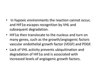 • In hypoxic environments the reaction cannot occur,
and HIF1α escapes recognition by VHL and
subsequent degradation.
• HIF1α then translocate to the nucleus and turn on
many genes, such as the growth/angiogenic factors
vascular endothelial growth factor (VEGF) and PDGF.
• Lack of VHL activity prevents ubiquitination and
degradation of HIF1α and is associated with
increased levels of angiogenic growth factors.
 