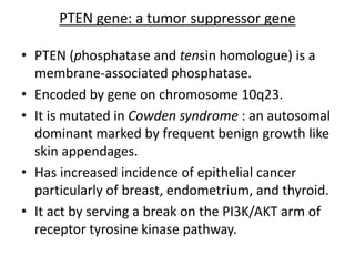 PTEN gene: a tumor suppressor gene
• PTEN (phosphatase and tensin homologue) is a
membrane-associated phosphatase.
• Encoded by gene on chromosome 10q23.
• It is mutated in Cowden syndrome : an autosomal
dominant marked by frequent benign growth like
skin appendages.
• Has increased incidence of epithelial cancer
particularly of breast, endometrium, and thyroid.
• It act by serving a break on the PI3K/AKT arm of
receptor tyrosine kinase pathway.
 