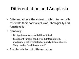 Differentiation and Anaplasia
• Differentiation is the extent to which tumor cells
resemble their normal cells morphologically and
functionally
• Generally:
– Benign tumors are well differntiated
– Malignant tumors can be well differentiated,
moderately differentiated or poorly differentiated.
They can be “undifferentiated”
• Anaplasia is lack of differentiation
 
