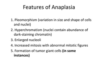 Features of Anaplasia
1. Pleomorphism (variation in size and shape of cells
and nuclei)
2. Hyperchromatism (nuclei contain abundance of
dark-staining chromatin)
3. Enlarged nucleoli
4. Increased mitosis with abnormal mitotic figures
5. Formation of tumor giant cells (in some
instances)
 