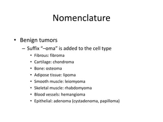 Nomenclature
• Benign tumors
– Suffix “–oma” is added to the cell type
• Fibrous: fibroma
• Cartilage: chondroma
• Bone: osteoma
• Adipose tissue: lipoma
• Smooth muscle: leiomyoma
• Skeletal muscle: rhabdomyoma
• Blood vessels: hemangioma
• Epithelial: adenoma (cystadenoma, papilloma)
 