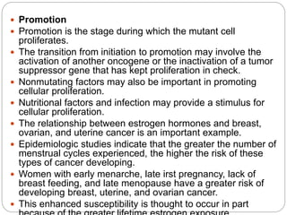  Promotion
 Promotion is the stage during which the mutant cell
proliferates.
 The transition from initiation to promotion may involve the
activation of another oncogene or the inactivation of a tumor
suppressor gene that has kept proliferation in check.
 Nonmutating factors may also be important in promoting
cellular proliferation.
 Nutritional factors and infection may provide a stimulus for
cellular proliferation.
 The relationship between estrogen hormones and breast,
ovarian, and uterine cancer is an important example.
 Epidemiologic studies indicate that the greater the number of
menstrual cycles experienced, the higher the risk of these
types of cancer developing.
 Women with early menarche, late irst pregnancy, lack of
breast feeding, and late menopause have a greater risk of
developing breast, uterine, and ovarian cancer.
 This enhanced susceptibility is thought to occur in part
 