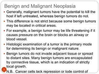 Benign and Malignant Neoplasia
3
 Generally, malignant tumors have the potential to kill the
host if left untreated, whereas benign tumors do not.
 This difference is not strict because some benign tumors
may be located in critical areas.
 For example, a benign tumor may be life threatening if it
causes pressure on the brain or blocks an airway or
blood vessel.
 Histologic examination of a tumor is the primary mode
for determining its benign or malignant nature.
 Benign tumors do not invade adjacent tissue or spread
to distant sites. Many benign tumors are encapsulated
by connective tissue, which is an indication of strictly
local growth.
 N.B. Cancer cells lack repression or lode control of
 