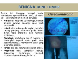 Tumor ini dianggap sebagai suatu
hamartoma (pertumbuhan baru, di mana
sel – selnya tumbuh menjadi dewasa)
• Klinis: didapat pada usia remaja, dengan
keluhan adanya benjolan yang tidak
terasa sakit.
• Lokasi: ditemukan pada bagian metafisis
tulang panjang terutama pada femur
distal, tibia proksimal dan humerus
proksimal.
• Radiologi: bentuknya ada 2 macam, 1)
bertangkai seperti suatu polip atau
pedundulated; 2) mempunyai dasar yang
lebar atau sessile.
• Terapi: bila ada keluhan dilakukan eksisi.
• Prognosis: baik. Komplikasi berupa
degenerasi keganasan (menjadi
kondrosarkoma) kurang lebih 1%.
BENIGNA BONE TUMOR
Osteokondroma
 