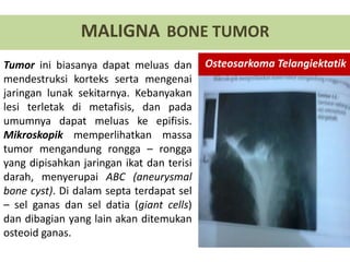 MALIGNA BONE TUMOR
Osteosarkoma TelangiektatikTumor ini biasanya dapat meluas dan
mendestruksi korteks serta mengenai
jaringan lunak sekitarnya. Kebanyakan
lesi terletak di metafisis, dan pada
umumnya dapat meluas ke epifisis.
Mikroskopik memperlihatkan massa
tumor mengandung rongga – rongga
yang dipisahkan jaringan ikat dan terisi
darah, menyerupai ABC (aneurysmal
bone cyst). Di dalam septa terdapat sel
– sel ganas dan sel datia (giant cells)
dan dibagian yang lain akan ditemukan
osteoid ganas.
 