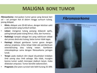 Fibrosarkoma: merupakan tumor ganas yang berasal dari
sel – sel jaringan ikat di dalam rongga sumsum tulang,
jarang didapat.
• Klinis: didapat usia 20-60 tahun, dengan keluhan sakit
pada benjolan yang tumbuh lambat.
• Lokasi: mengenai tulang panjang didaerah epifis,
paling banyak pada tulang femur, tibia, dan humerus.
• Radiologi: tampak sebagai lesi yang radiolusen akibat
dari proses destruksi tulang, batas tumor tidak tegas.
• Patologi: didapat gambaran tumor ganas dengan
adanya anaplasia, mitos tetapi tidak ada pembentuan
osteoid/tulang atau tulang rawan. Gambaran
mikroskopiknya sama dengan fibrosarkoma jaringan
lunak.
• Terapi: pada stadium dini dapat diusahakan tindakan
limb saving atau limb salvage. Bila tidak, mungkin
karena tumor sudah mencapai stadium lanjut, maka
dilakukan amputasi. Tumor bersifat radioresisten.
• Prognosis: five years survival rate lebih kurang 25-30%
MALIGNA BONE TUMOR
Fibromasarkoma
 