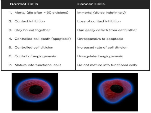 Neoplasm icd 10 guideline