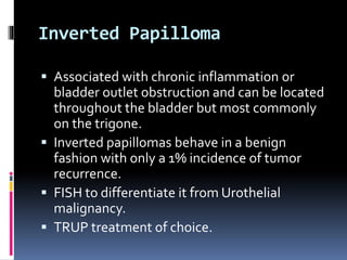 Inverted Papilloma 
 Associated with chronic inflammation or 
bladder outlet obstruction and can be located 
throughout the bladder but most commonly 
on the trigone. 
 Inverted papillomas behave in a benign 
fashion with only a 1% incidence of tumor 
recurrence. 
 FISH to differentiate it from Urothelial 
malignancy. 
 TRUP treatment of choice. 
 