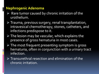 Nephrogenic Adenoma 
 Rare tumor caused by chronic irritation of the 
urothelium. 
 Trauma, previous surgery, renal transplantation, 
intravesical chemotherapy, stones, catheters, and 
infections predispose to it. 
 The lesion may be vascular, which explains the 
presence of gross hematuria in most cases. 
 The most frequent presenting symptom is gross 
hematuria, often in conjunction with a urinary tract 
infection. 
 Transurethral resection and elimination of the 
chronic irritation. 
 