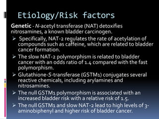 Etiology/Risk factors 
Genetic - N-acetyl transferase (NAT) detoxifies 
nitrosamines, a known bladder carcinogen. 
 Specifically, NAT-2 regulates the rate of acetylation of 
compounds such as caffeine, which are related to bladder 
cancer formation. 
 The slow NAT-2 polymorphism is related to bladder 
cancer with an odds ratio of 1.4 compared with the fast 
polymorphism. 
 Glutathione-S-transferase (GSTM1) conjugates several 
reactive chemicals, including arylamines and 
nitrosamines. 
 The null GSTM1 polymorphism is associated with an 
increased bladder risk with a relative risk of 1.5. 
 The null GSTM1 and slow NAT-2 lead to high levels of 3- 
aminobiphenyl and higher risk of bladder cancer. 
 
