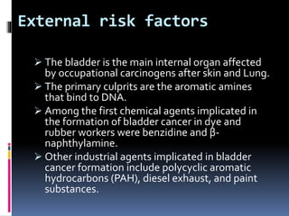 External risk factors 
 The bladder is the main internal organ affected 
by occupational carcinogens after skin and Lung. 
 The primary culprits are the aromatic amines 
that bind to DNA. 
 Among the first chemical agents implicated in 
the formation of bladder cancer in dye and 
rubber workers were benzidine and β- 
naphthylamine. 
 Other industrial agents implicated in bladder 
cancer formation include polycyclic aromatic 
hydrocarbons (PAH), diesel exhaust, and paint 
substances. 
 