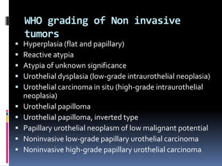 WHO grading of Non invasive 
tumors 
 Hyperplasia (flat and papillary) 
 Reactive atypia 
 Atypia of unknown significance 
 Urothelial dysplasia (low-grade intraurothelial neoplasia) 
 Urothelial carcinoma in situ (high-grade intraurothelial 
neoplasia) 
 Urothelial papilloma 
 Urothelial papilloma, inverted type 
 Papillary urothelial neoplasm of low malignant potential 
 Noninvasive low-grade papillary urothelial carcinoma 
 Noninvasive high-grade papillary urothelial carcinoma 
 
