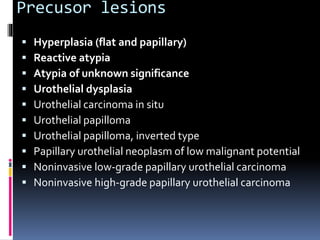 Precusor lesions 
 Hyperplasia (flat and papillary) 
 Reactive atypia 
 Atypia of unknown significance 
 Urothelial dysplasia 
 Urothelial carcinoma in situ 
 Urothelial papilloma 
 Urothelial papilloma, inverted type 
 Papillary urothelial neoplasm of low malignant potential 
 Noninvasive low-grade papillary urothelial carcinoma 
 Noninvasive high-grade papillary urothelial carcinoma 
 