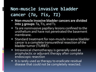 Non-muscle invasive bladder 
cancer (Ta, Tis, T1) 
 Non-muscle invasive bladder cancers are divided 
into 3 groups: Ta, Tis, and T1 
 Ta are noninvasive papillary lesions confined to the 
urotheliumand have not penetrated the basement 
membrane. 
 Standard treatment for non-muscle invasive bladder 
cancer is a complete transurethral resection of the 
bladder tumor (TURBT). 
 Intravesical chemotherapy is generally used as 
prophylactic or adjuvant therapy after complete 
endoscopic resection 
 It is rarely used as therapy to eradicate residual 
disease that could not be completely resected. 
 