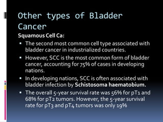 Other types of Bladder 
Cancer 
Squamous Cell Ca: 
 The second most common cell type associated with 
bladder cancer in industrialized countries. 
 However, SCC is the most common form of bladder 
cancer, accounting for 75% of cases in developing 
nations. 
 In developing nations, SCC is often associated with 
bladder infection by Schistosoma haematobium. 
 The overall 5-year survival rate was 56% for pT1 and 
68% for pT2 tumors. However, the 5-year survival 
rate for pT3 and pT4 tumors was only 19% 
 