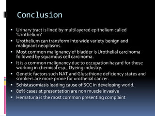 Conclusion 
 Urinary tract is lined by multilayered epithelium called 
‘Urothelium’ 
 Urothelium can transform into wide variety benign and 
malignant neoplasms. 
 Most common malignancy of bladder is Urothelial carcinoma 
followed by squamous cell carcinoma. 
 It is a common malignancy due to occupation hazard for those 
working in chemical esp., Dyeing industry. 
 Genetic factors such NAT and Glutathione deficiency states and 
smokers are more prone for urothelial cancer. 
 Schistasomiasis leading cause of SCC in developing world. 
 80% cases at presentation are non muscle invasive 
 Hematuria is the most common presenting complaint 
 