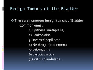 Benign Tumors of the Bladder 
 There are numerous benign tumors of Bladder 
Common ones : 
1) Epithelial metaplasia, 
2) Leukoplakia 
3) Inverted papilloma 
4) Nephrogenic adenoma 
5) Leiomyoma 
6) Cystitis cystica 
7) Cystitis glandularis. 
 