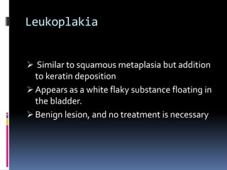 Leukoplakia 
 Similar to squamous metaplasia but addition 
to keratin deposition 
 Appears as a white flaky substance floating in 
the bladder. 
 Benign lesion, and no treatment is necessary 
 