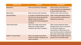 CHARACTER BENIGN MALIGNANT
Metastasis Does not spread by metastasis Gains access to the blood and
lymph channels and metastasizes
to other areas of the body.
Recurrence Does not recur when removed. Tends to recur when removed.
General Effects Is usually a localized phenomenon
that does not cause generalized
effects unless by location it
interferes with vital physiological
functions.
Often causes generalized effects
such as anaemia, weakness and
weight loss (cachexia).
Tissue Destruction Does not usually cause tissue
destruction unless location
interferes with blood circulation.
Often causes extensive tissue
damage as the tumour out grows
its own blood supply or it
encroaches on blood flow to the
area may also produce substances
that cause cell damage (cytotoxic).
Ability To Cause Death Does not usually cause death
unless its location interferes with
blood circulation.
Will always cause death unless its
growth can be controlled early.
 