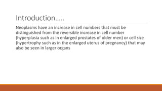 Introduction…..
Neoplasms have an increase in cell numbers that must be
distinguished from the reversible increase in cell number
(hyperplasia such as in enlarged prostates of older men) or cell size
(hypertrophy such as in the enlarged uterus of pregnancy) that may
also be seen in larger organs
 