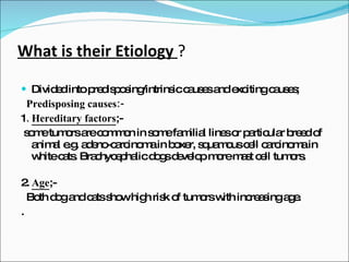 What is their Etiology  ?  Divided into predisposing/intrinsic causes and exciting causes; Predisposing causes:- 1 .   Hereditary factors ;- some tumors are common in some familial lines or particular breed of animal e.g. adeno-carcinoma in boxer, squamous cell carcinoma in white cats. Brachycephalic dogs develop more mast cell tumors.  2.  Age ;- Both dog and cats show high risk of tumors with increasing age. . 