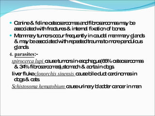 Canine & feline osteosarcomas and fibrosarcomas may be associated with fractures & internal fixation of bones. Mammary tumors occur frequently in caudal mammary glands & may be associated with repeated trauma to more pendulous glands. 4.   parasites :- spirocerca lupi  cause tumors in esophagus(66% osteosarcomas & 34% fibrosarcomas),stomach & aorta in dogs. liver fluke  clonorchis sinensis  cause bile duct carcinomas in dogs & cats. Schistosoma hematobium  cause urinary bladder cancer in man 