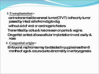 5. Transplantation :- canine transmissible venereal tumor(CTVT) is the only tumor passed by intact cells from dog to dog without aid of viral or carcinogenic factors. Transmitted by coitus & lesions seen on penis & vagina. Orogenital contact allows cellular implantation in oral cavity & nose. 6.  Congenital origin :- Embryonal nephromas may be detected in puppies less than 6 months of age & occurs due to abnormality in embryogenesis. 