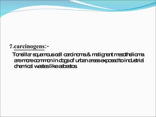 7. carcinogens :- Tonsillar squamous cell carcinoma & malignant mesothelioma are more common in dogs of urban areas exposed to industrial chemical wastes like asbestos. 